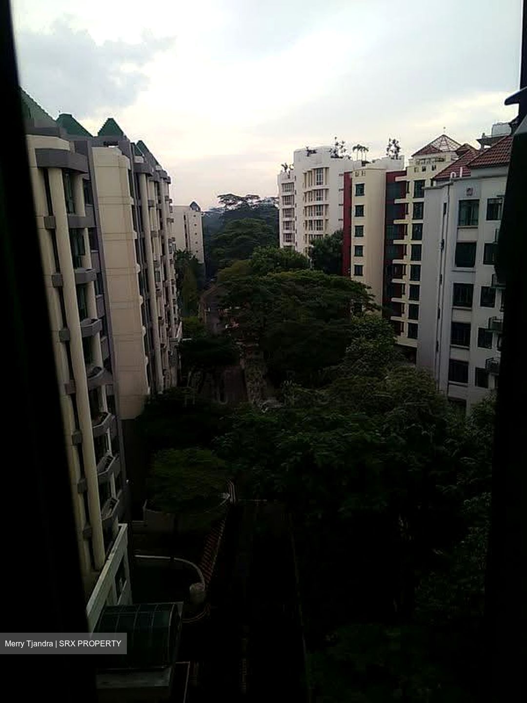 Signature Park (D21), Condominium #629930821